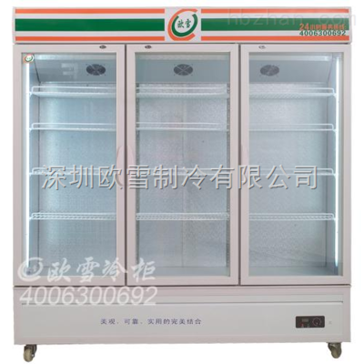 家用冷藏柜 立式设计的优势与应用前景