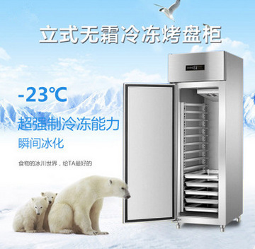 商用冰柜低温岛柜 超市鲜肉饺子与包子的保鲜利器